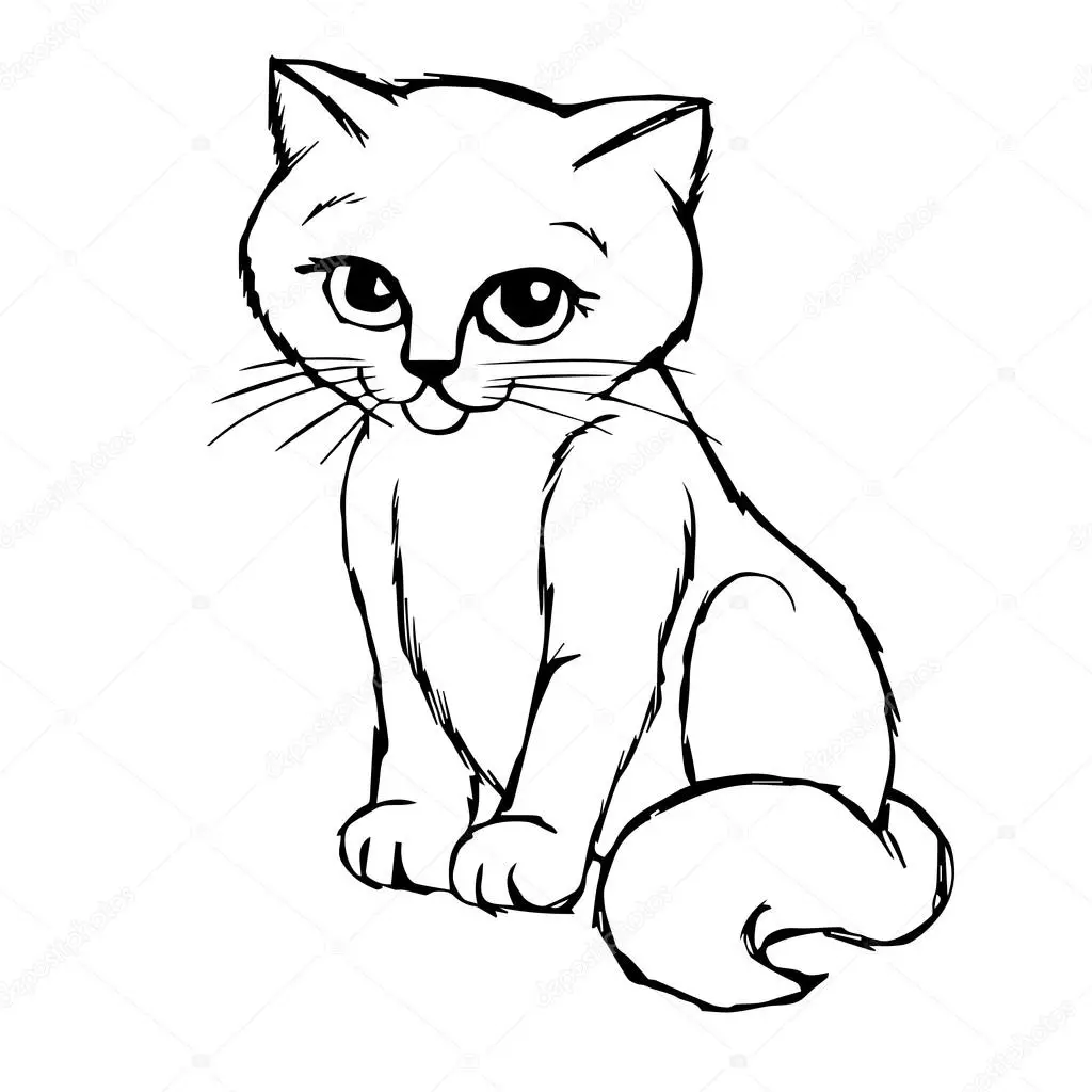 desenho de gato