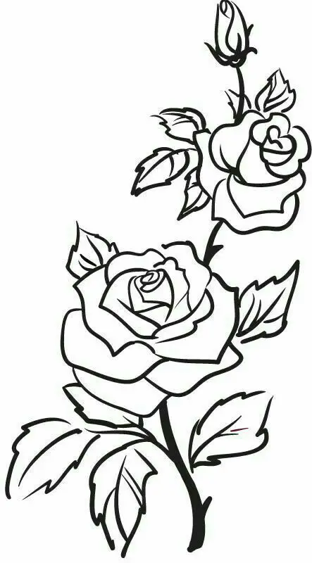 Riscos de Rosas para Pintura em Tecido 4